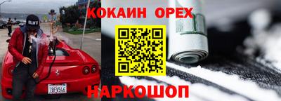 молекула духа Камышлов