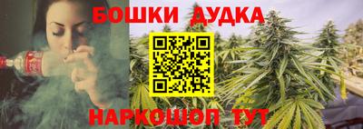 молекула духа Камышлов