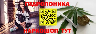 стаф Кандалакша