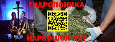 молекула духа Камышлов