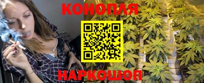 молекула духа Камышлов