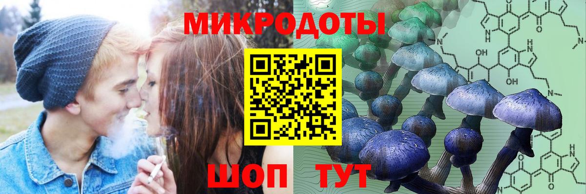 Псилоцибиновые грибы Cubensis Арсеньев