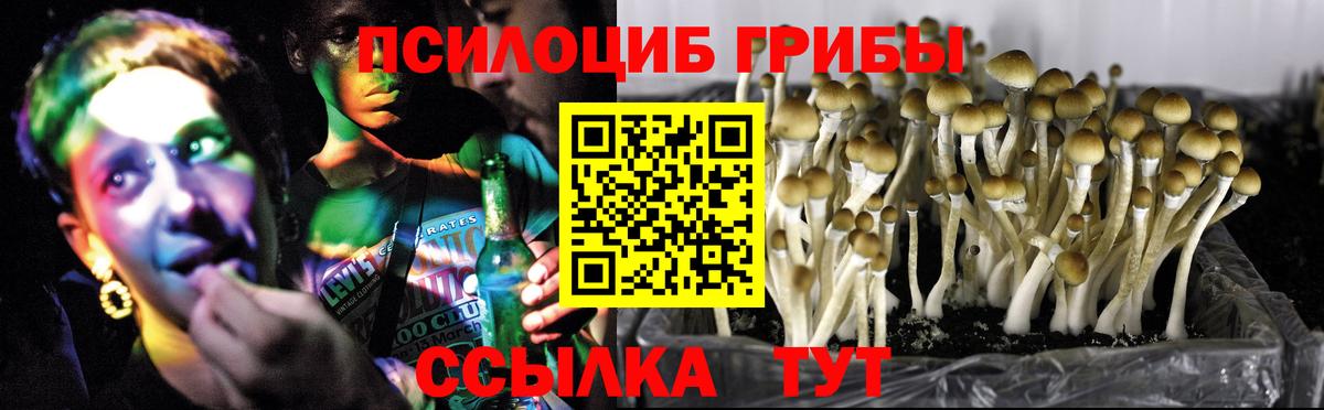 закладка  Вход с VPN  Арсеньев  Псилоцибиновые грибы мицелий  Псилоцибиновые грибы мухоморы 